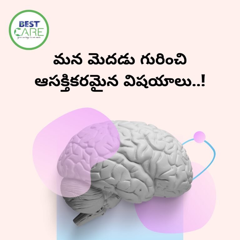 About brain