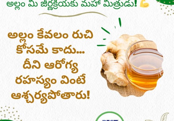 అల్లం తినండి... అద్భుతాలు చూడండి!